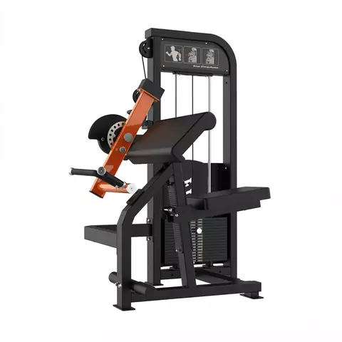 Biceps-Y-Triceps-Combinado