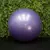 Pelota de esferodinamia violeta de 65 cm Get Fit! frente a un fondo de plantas verdes