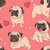 Scrub Pug Rosa (MICROFIBRA)