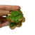 Sapo da Fortuna Kaeru Verde em Resina - 10cm - comprar online