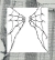 Kit Wire Wings