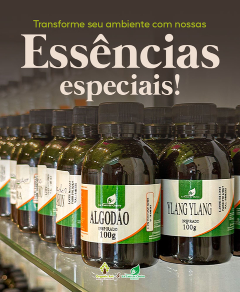 Carrossel 1