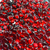 Chaton para Colagem Oval Sextavado - 13x18mm - Pacote com 10g - Cor: Vermelho