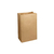 Saco Kraft Natural - Tamanho 20x15x25cm - Pacote com 10 unidades - Ref. 5928 na internet