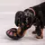 Lickimuv- Juguete rellenable para gatos y perros - comprar online