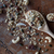 Granola Fit - comprar online