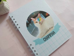Caderneta PET | Com foto - comprar online