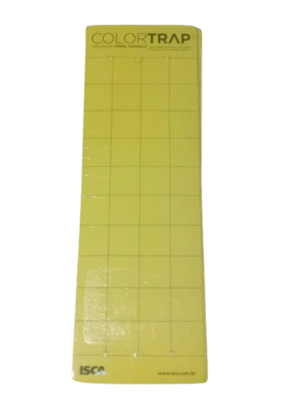 Isca adesiva Color Trap Amarela (Kit 10 iscas)