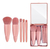 Kit 5 Mini Pincéis Maquiagem Importado + case com espelho - Escolha a cor