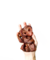 Focinho Suíno 5 Unid O Paparico