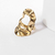 Anillo Reef