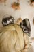 Leopardo — Das Neves - comprar online