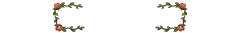 Banner da categoria Bolsas
