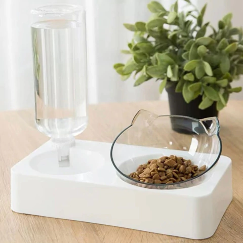 Comedero para gatitos