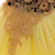 Vestido Blancanieves