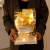 Ramos de peluche con luz LED en internet