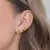 Set de Pendientes La Sirenita en internet