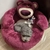 Cama para mascotas de Lotso en internet