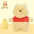 Compresa de Agua de Peluche de Winnie the Pooh
