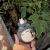 Funda para Airpods Totoro