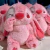 Peluche rosa de Stitch