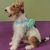 Arnés para perro de Scooby Doo - comprar en línea