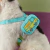 Arnés para perro de Scooby Doo en internet