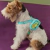 Arnés para perro de Scooby Doo - Shopping Lovers