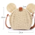 Imagen de Bolsa de Playa Mickey