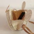 Bolsa de Playa Mickey - Shopping Lovers