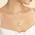 Collar de Shiba Inu en internet