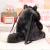 Mochilas de Peluche Alien de Toy Story y Lucifer de Cenicienta - Shopping Lovers