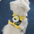 Arnés para mascota de Minion - comprar en línea