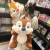 Mochila de Peluche Chip & Dale - tienda en línea
