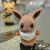 Ternurines de Pokémon - comprar en línea