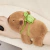 Pulsera de peluche de Capibara en internet