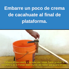 Trampas para #Roedores con una eficiencia del 100%. - Fly Trap México