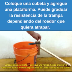 Trampas para #Roedores con una eficiencia del 100%. - tienda en línea