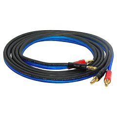 Cable Plug Banana a Plug Banana Gold AudioPipe U.S.A. 10 Gauge en internet