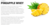 Pineapple Whey lata 450g. - Essential - ShopNutri