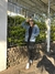 Legging Pezinho - comprar online