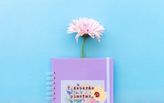 Banner de la categoría Cuadernos