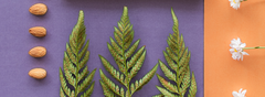 Banner de la categoría Cuadros