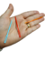 10 agulhas - loja online