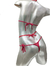 Body de Encaje Con Abertura Art. 135 - Taboo - Sex Shop