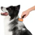PEINE CEPILLO DESLANADOR MASCOTAS - comprar online