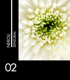 Sensorial 02 Neroli - comprar online