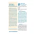 DISCIPULANDO MESTRE - 1 Ciclo - comprar online