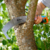 SIERRA CURVA 300 PP COMBISYSTEM GARDENA - tienda online