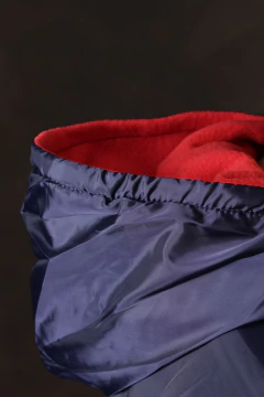 BUZO ANORAK FORRADO POLAR (40060) - comprar online